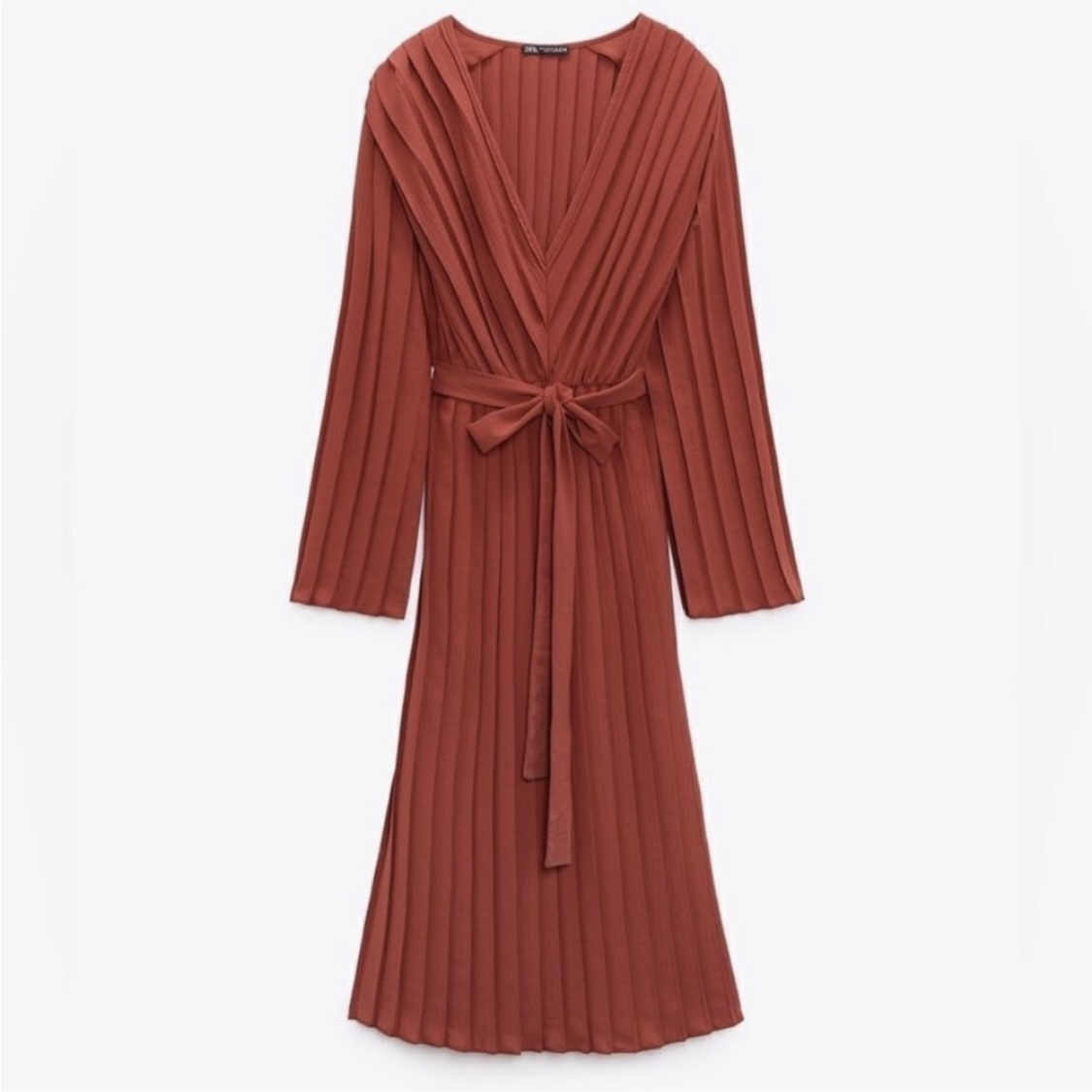 Featured rust pleated dress